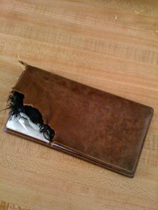 At least he didn't eat any checks ...