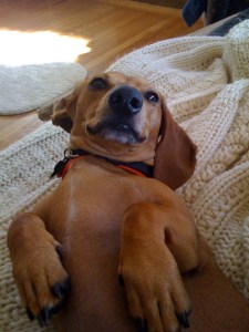 oliver2 Our little space cadet